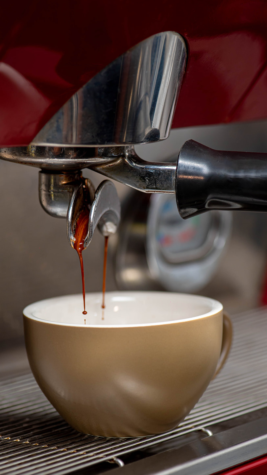 Plato principal Delix